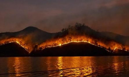Bränderna i Los Angeles beror på klimatförändringar